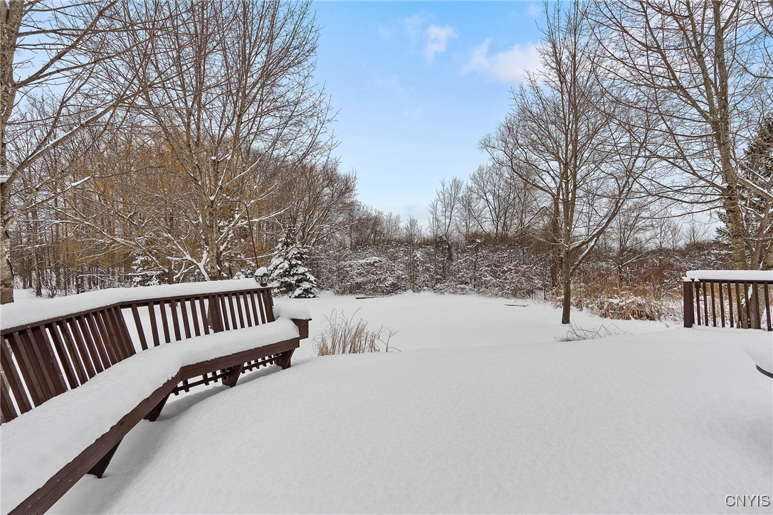 3222 Holly Ridge Lysander, NY 13027 - Photo 36 of 45