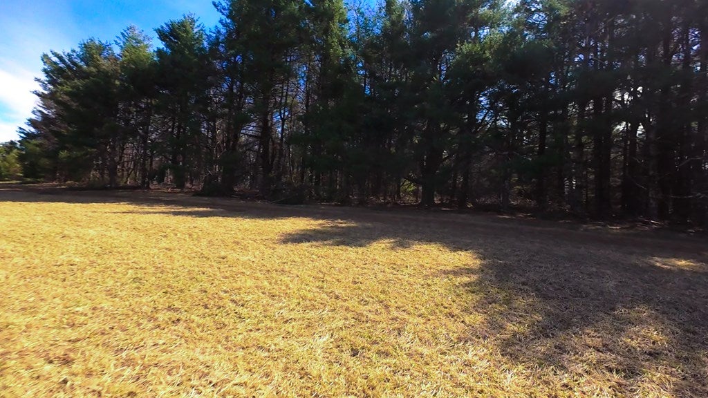 2 Graysville Road, Unit TRACT 2 Copper Hill, VA 24079 - Photo 5 of 18 Gallery Image 5