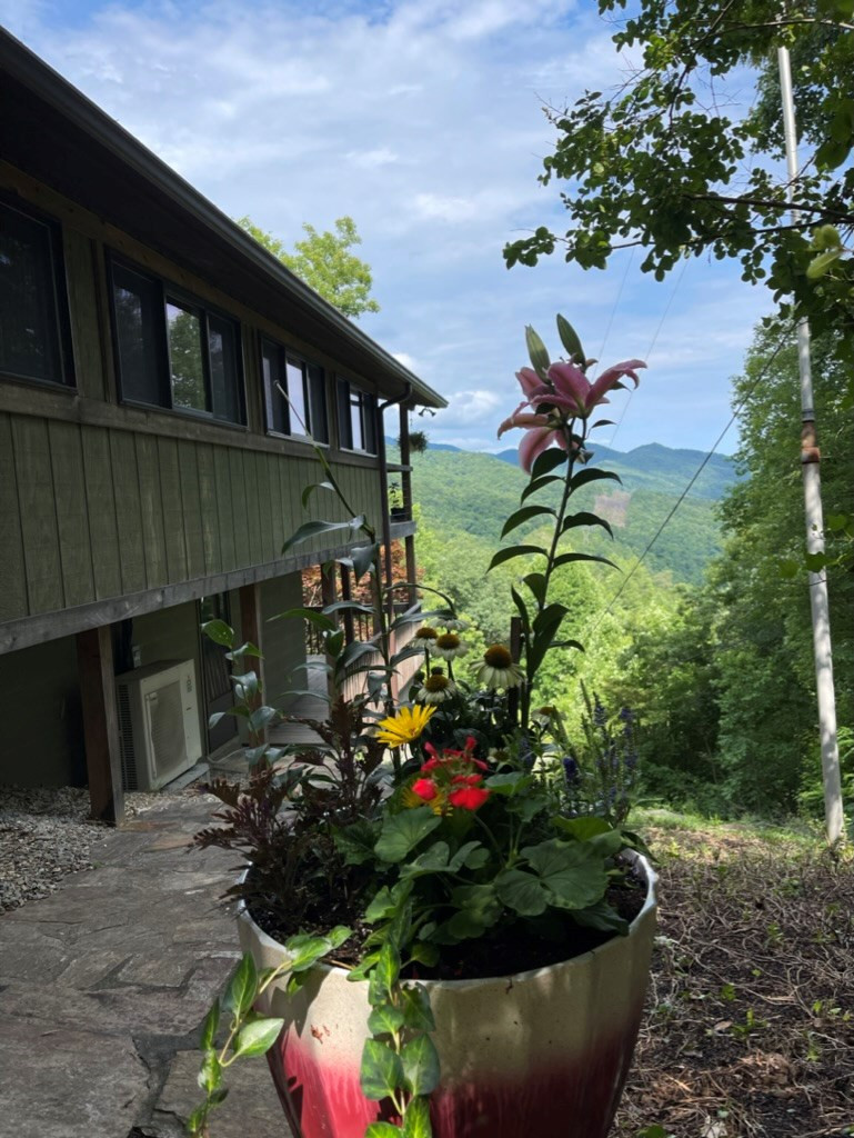 354 Deals Gap Road Robbinsville, NC 28771 - Photo 52 of 62