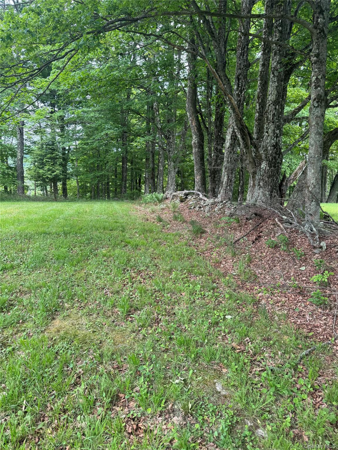 742 Lenape Lake Road Livingston Manor, NY 12758 - Photo 10 of 42