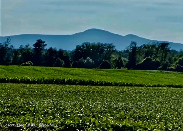 a view of a grassy field with an ocean