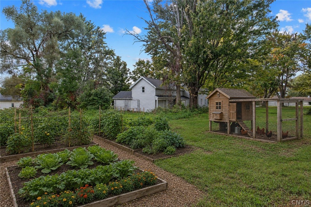 3148 Pompey Center Road Pompey, NY 13104 - Photo 46 of 46 What your backyard could look like with a vegetabl