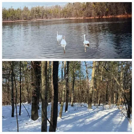 $239,900 | 30 West Stanton Road, Stanton, MI 48888