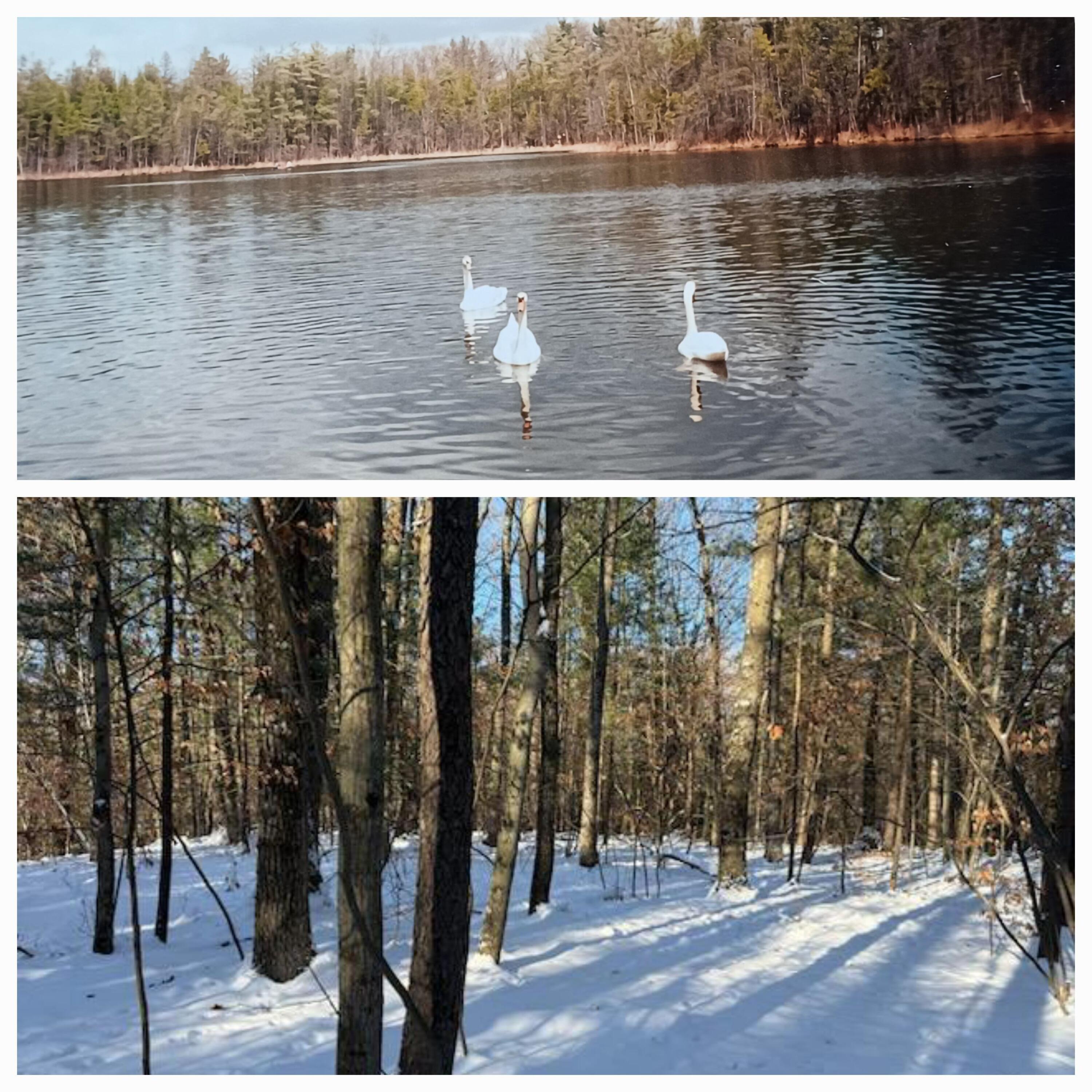 2-5-26 stanton rd swan pic