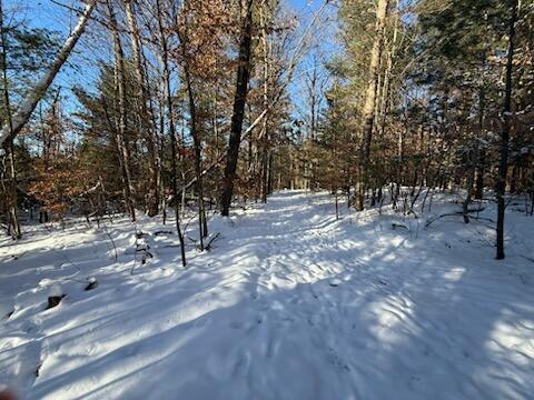 30 West Stanton Road Stanton, MI 48888 - Photo 11 of 28 IMG_2535 (2)