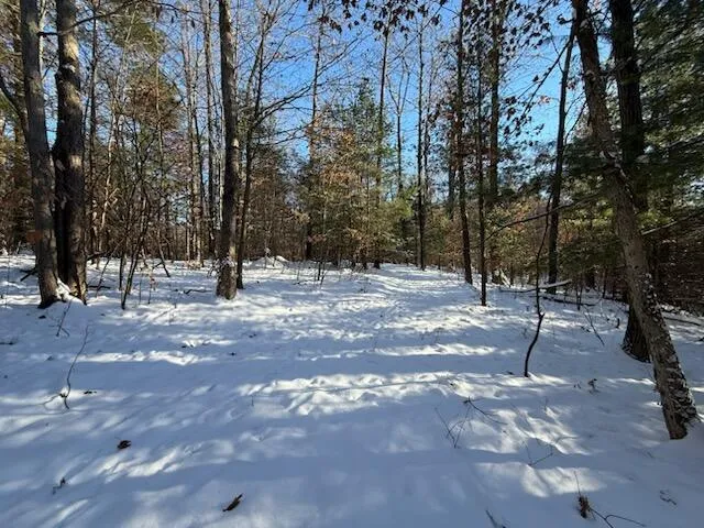 $239,900 | 30 East Stanton Road, Stanton, MI 48888