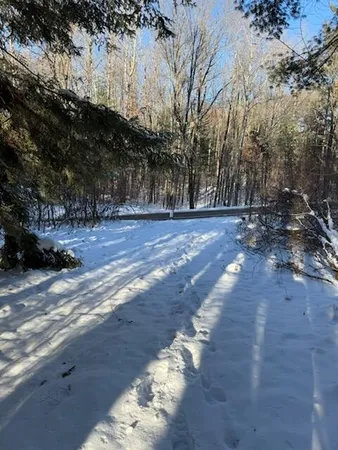 $239,900 | 30 West Stanton Road, Stanton, MI 48888
