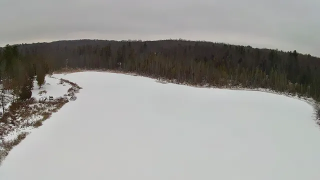 $239,900 | 30 East Stanton Road, Stanton, MI 48888