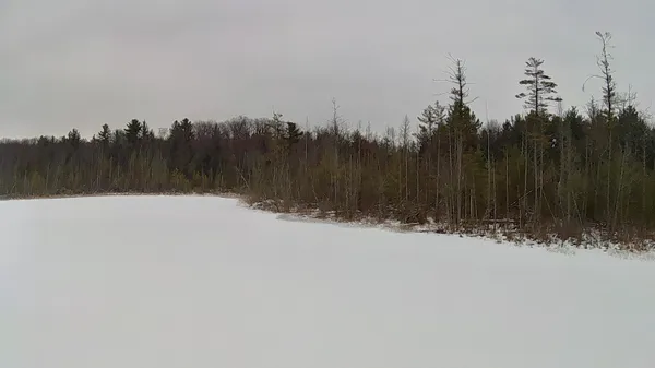 $239,900 | 30 West Stanton Road, Stanton, MI 48888