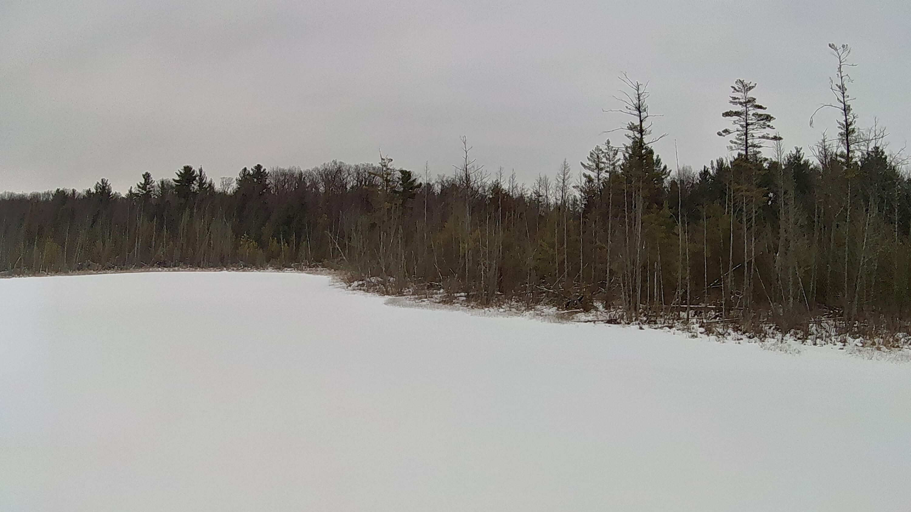 30 West Stanton Road Stanton, MI 48888 - Photo 18 of 28 IMG_1982 (2)