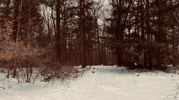 $239,900 | 30 West Stanton Road, Stanton, MI 48888