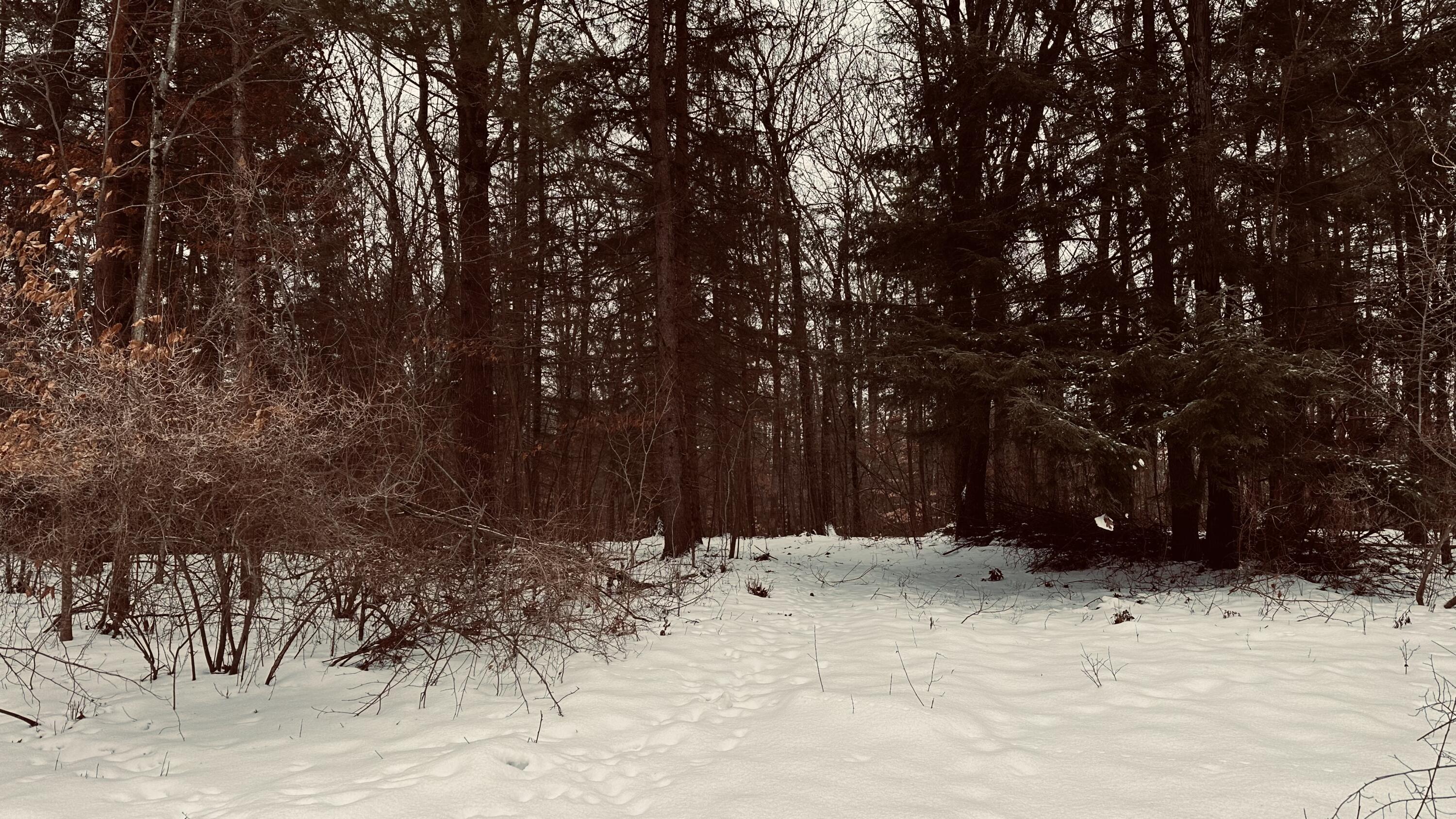 30 West Stanton Road Stanton, MI 48888 - Photo 20 of 28 IMG_1987 (1)