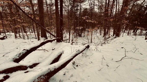 $239,900 | 30 West Stanton Road, Stanton, MI 48888