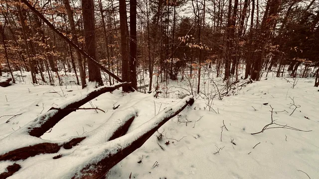 $239,900 | 30 East Stanton Road, Stanton, MI 48888