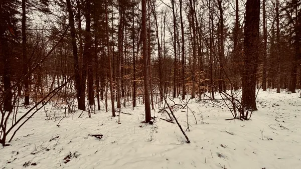 $239,900 | 30 West Stanton Road, Stanton, MI 48888