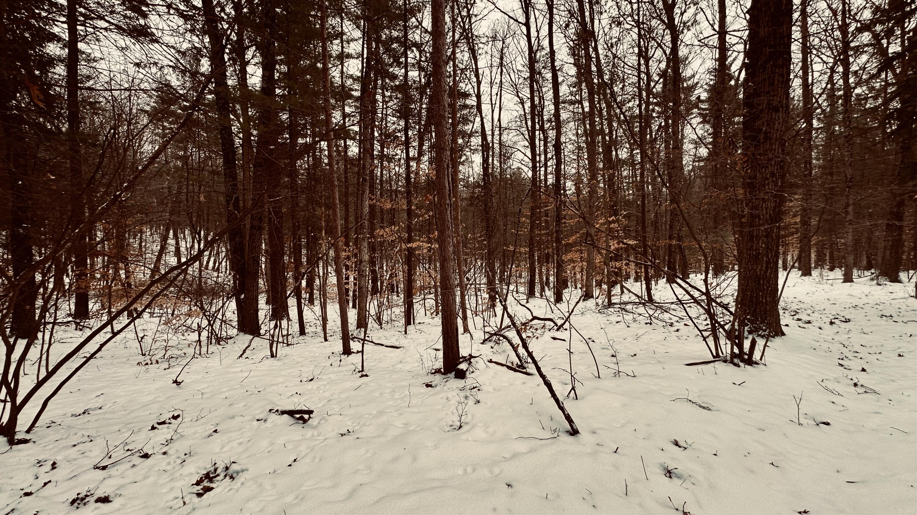 30 East Stanton Road Stanton, MI 48888 - Photo 23 of 28 IMG_1990 (2)