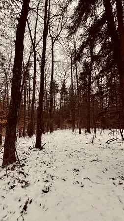 $239,900 | 30 West Stanton Road, Stanton, MI 48888