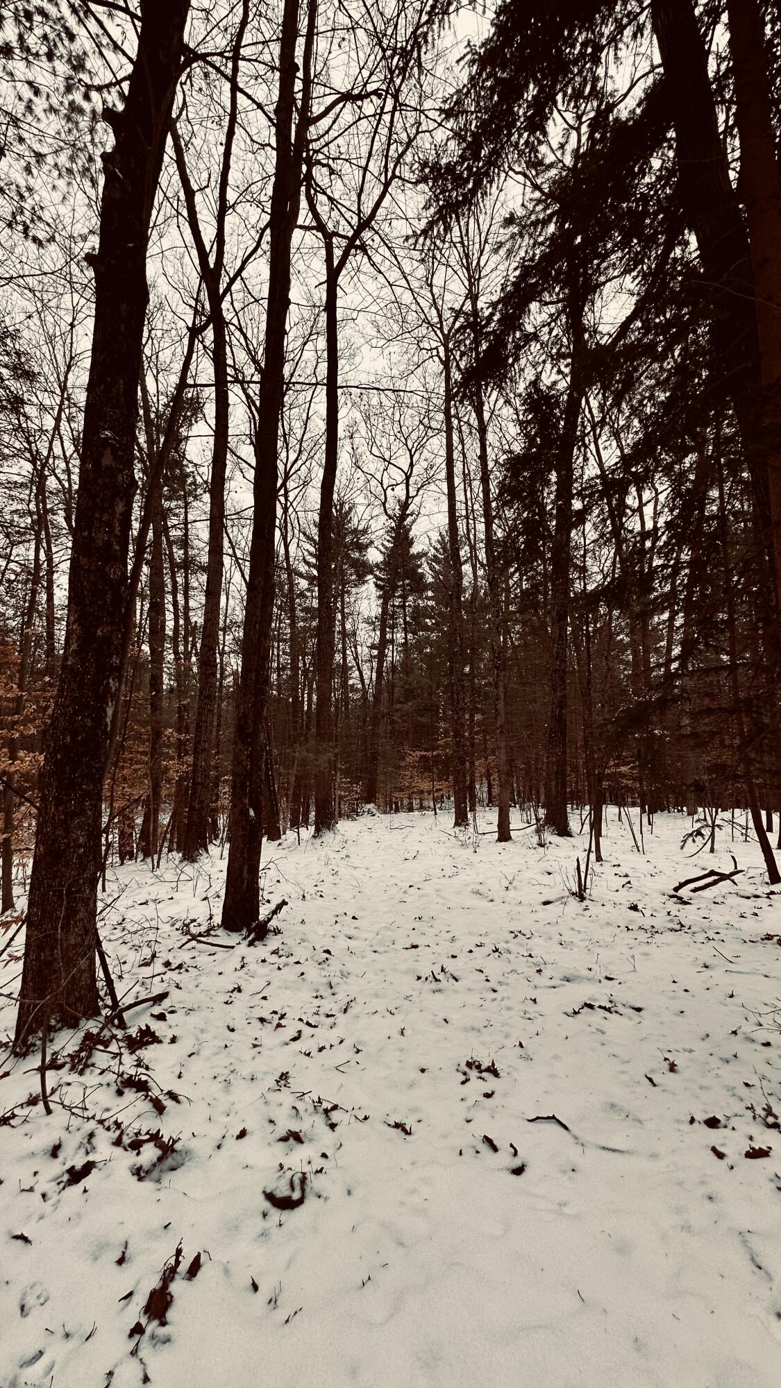 30 East Stanton Road Stanton, MI 48888 - Photo 24 of 28 IMG_1991 (2)