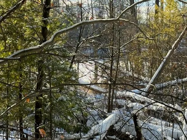 $239,900 | 30 West Stanton Road, Stanton, MI 48888