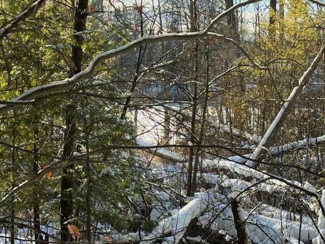 30 West Stanton Road Stanton, MI 48888 - Photo 3 of 28 IMG_2536