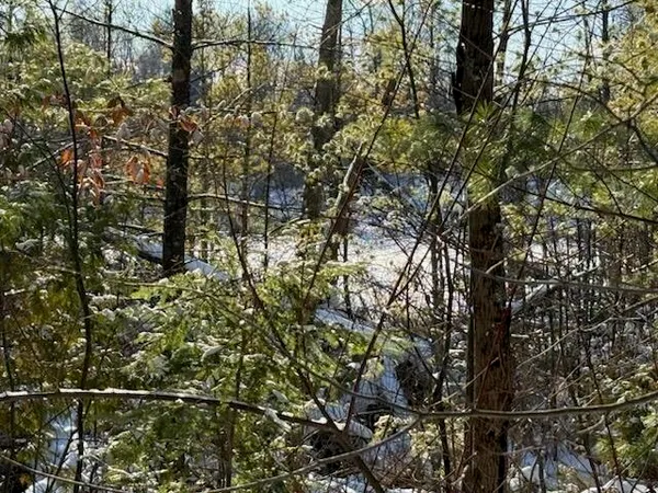 $239,900 | 30 West Stanton Road, Stanton, MI 48888