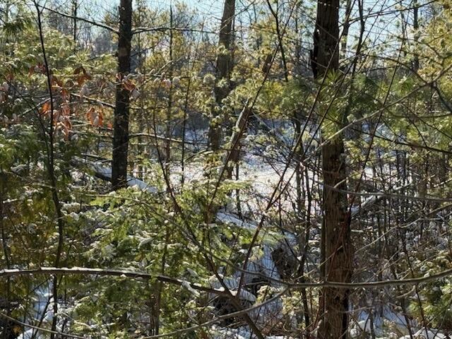 30 East Stanton Road Stanton, MI 48888 - Photo 5 of 28 IMG_2532 (2)