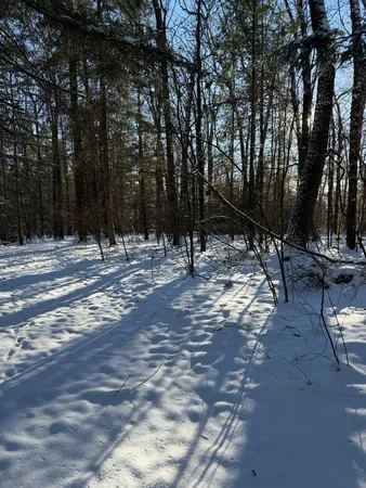 $239,900 | 30 West Stanton Road, Stanton, MI 48888