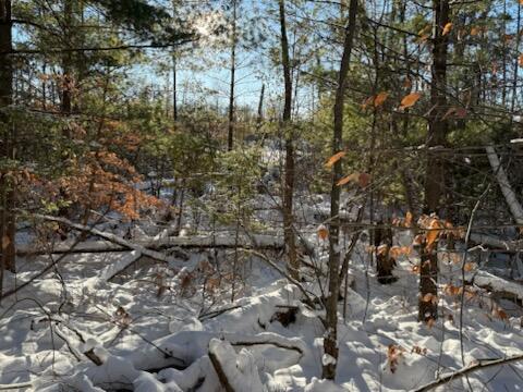 30 East Stanton Road Stanton, MI 48888 - Photo 6 of 28 IMG_2533