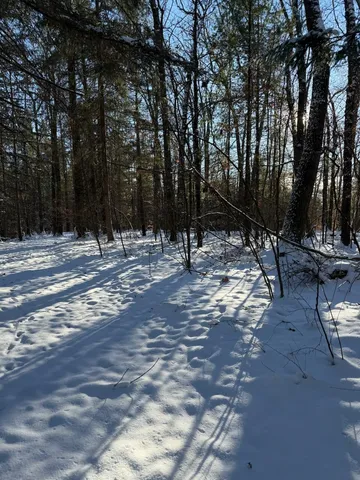 $239,900 | 30 East Stanton Road, Stanton, MI 48888