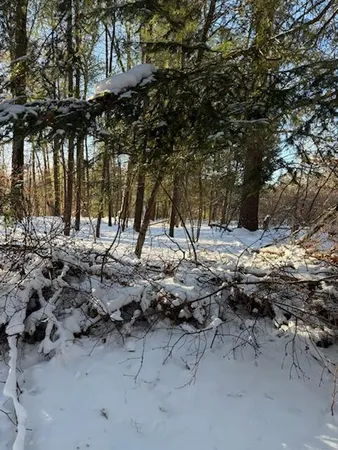 $239,900 | 30 West Stanton Road, Stanton, MI 48888