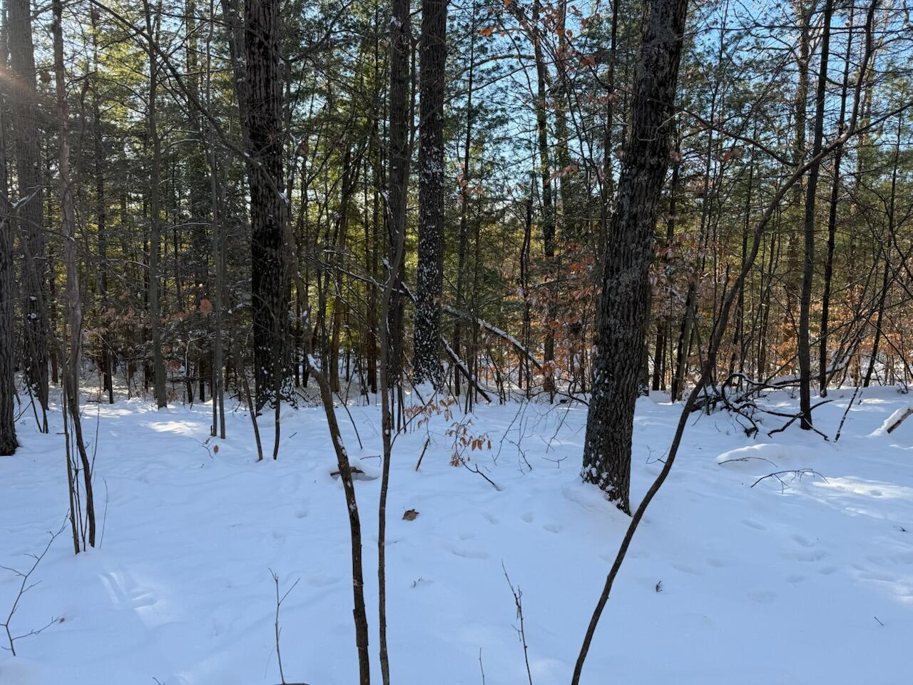 30 West Stanton Road Stanton, MI 48888 - Photo 8 of 28 IMG_2530