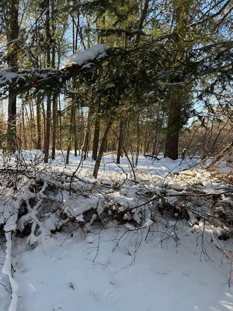 30 East Stanton Road Stanton, MI 48888 - Photo 8 of 28 IMG_2528