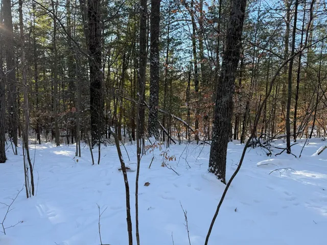 $239,900 | 30 East Stanton Road, Stanton, MI 48888