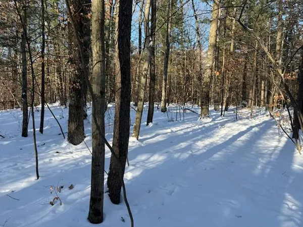 $239,900 | 30 West Stanton Road, Stanton, MI 48888