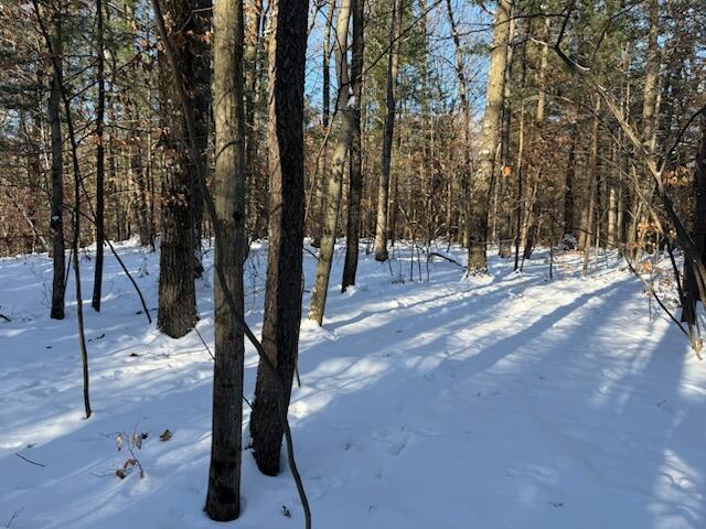 30 East Stanton Road Stanton, MI 48888 - Photo 10 of 28 IMG_2531 (2)