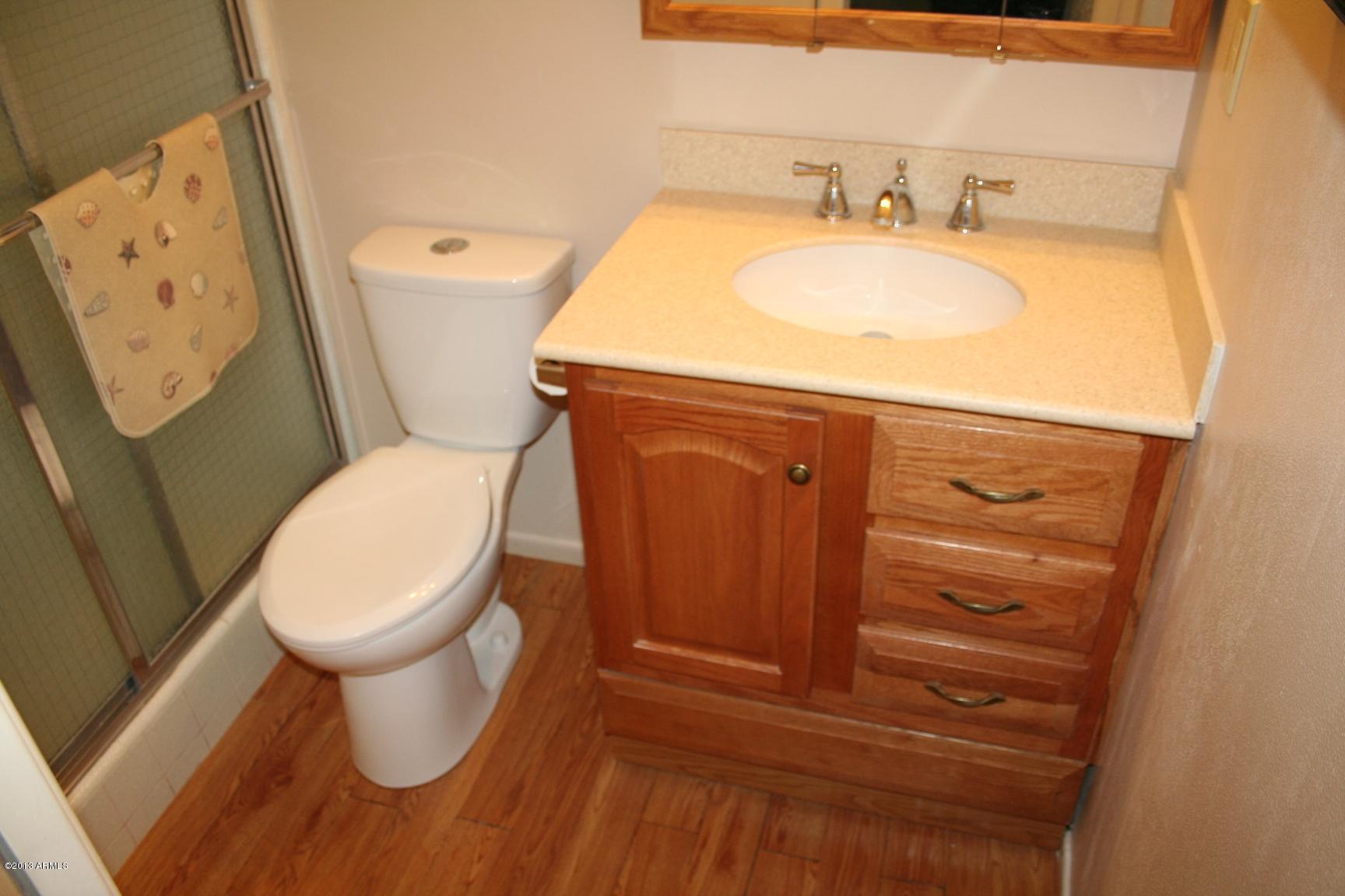 5433 East Adobe Road Mesa, AZ 85205 - Photo 13 of 13 Master bathroom