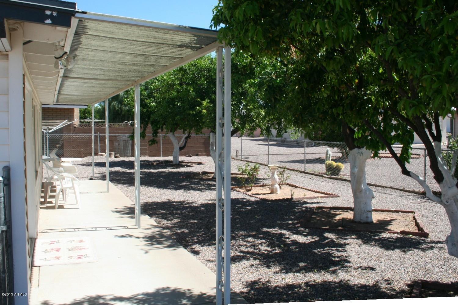 5433 East Adobe Road Mesa, AZ 85205 - Photo 5 of 13 Grapefruit & Tangelo trees