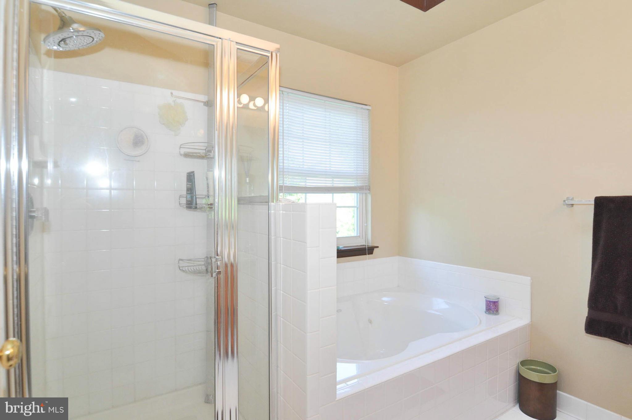 208 Braxton Way Edgewater, MD 21037 - Photo 29 of 30 Bath (Master)