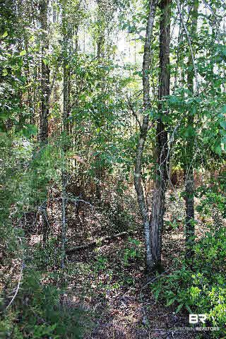 12836 Anna's Way Stapleton, AL 36578 - Photo 39 of 43 The property back to a "No-Build" area for extra privacy.
