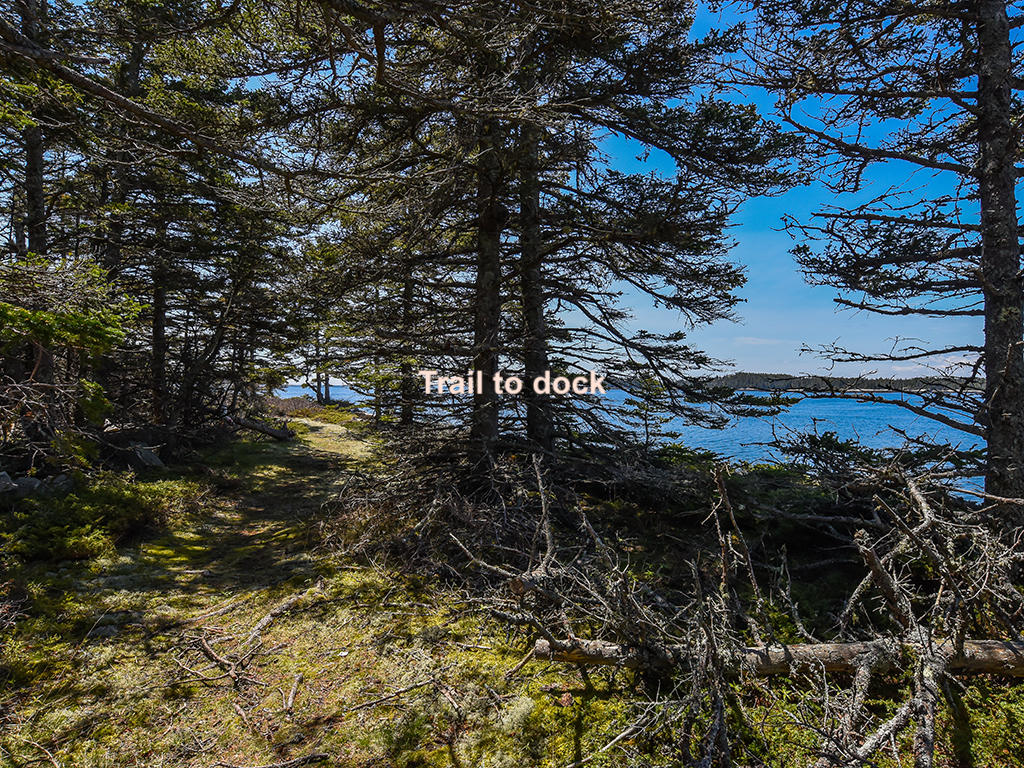 39 Blair Road Vinalhaven, ME 04863 - Photo 42 of 43 Trail