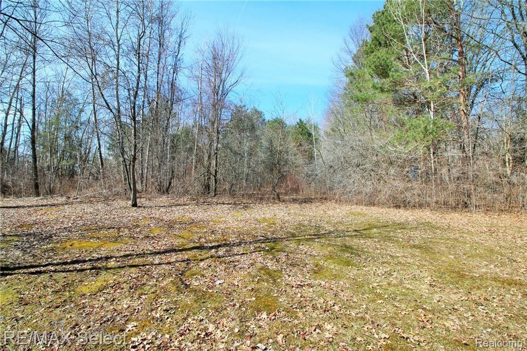 14255 Duffield Road Montrose, MI 48457 - Photo 10 of 26 IMG_9999 (2).JPG