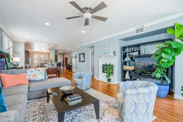 a living room with furniture and a potted plant