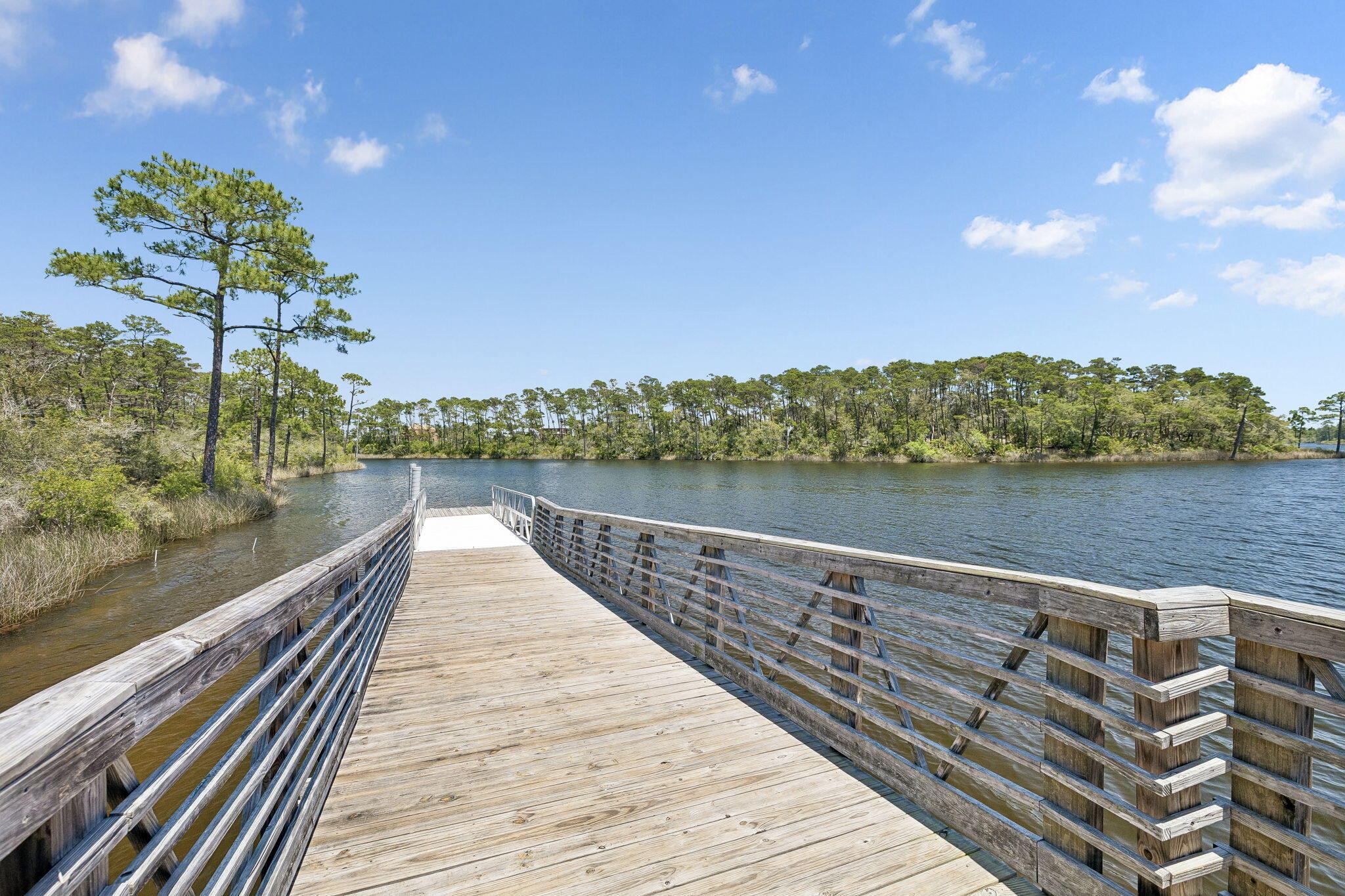 115 Log Landing St Inlet Beach Inlet Beach, FL 32461 - Photo 65 of 69 a view of lake