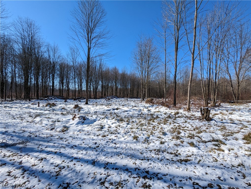 3209 Middle Road Conneaut, OH 44030 - Photo 25 of 31