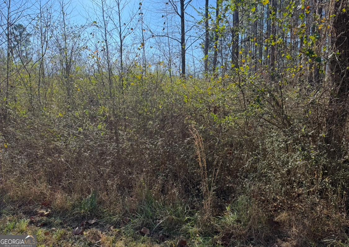 0 Norton Road Kingston, GA 30145 - Photo 1 of 7 a view of under construction area