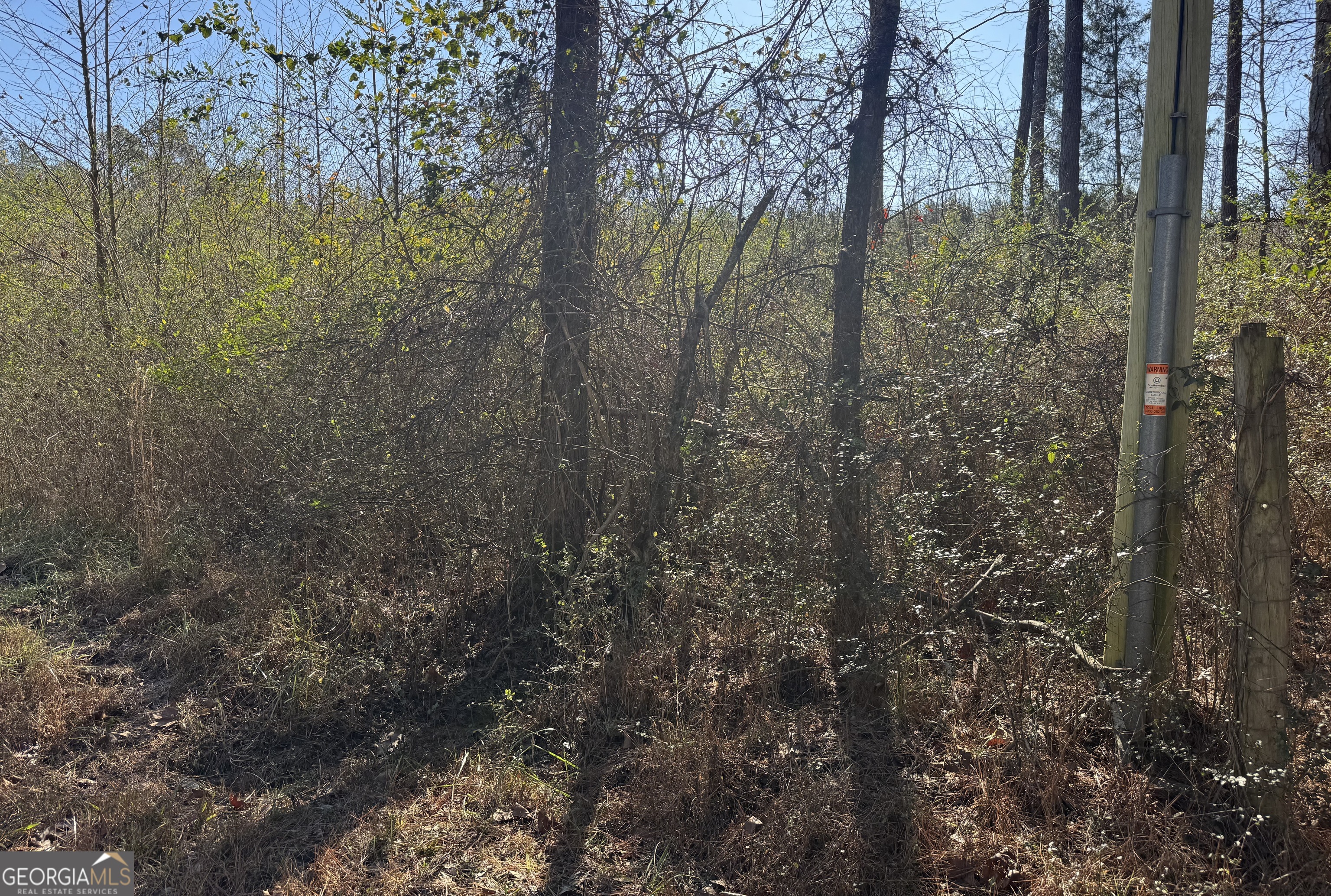 0 Norton Road Kingston, GA 30145 - Photo 2 of 7 a view of a forest that has a tree