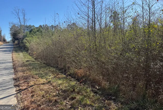 a view of a yard with a tree