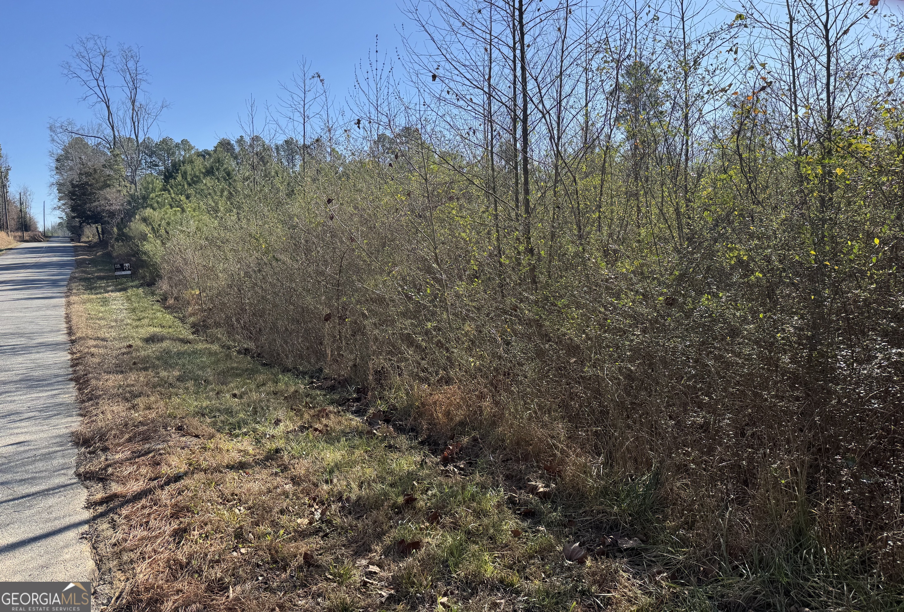 0 Norton Road Kingston, GA 30145 - Photo 3 of 7 a view of a yard with a tree