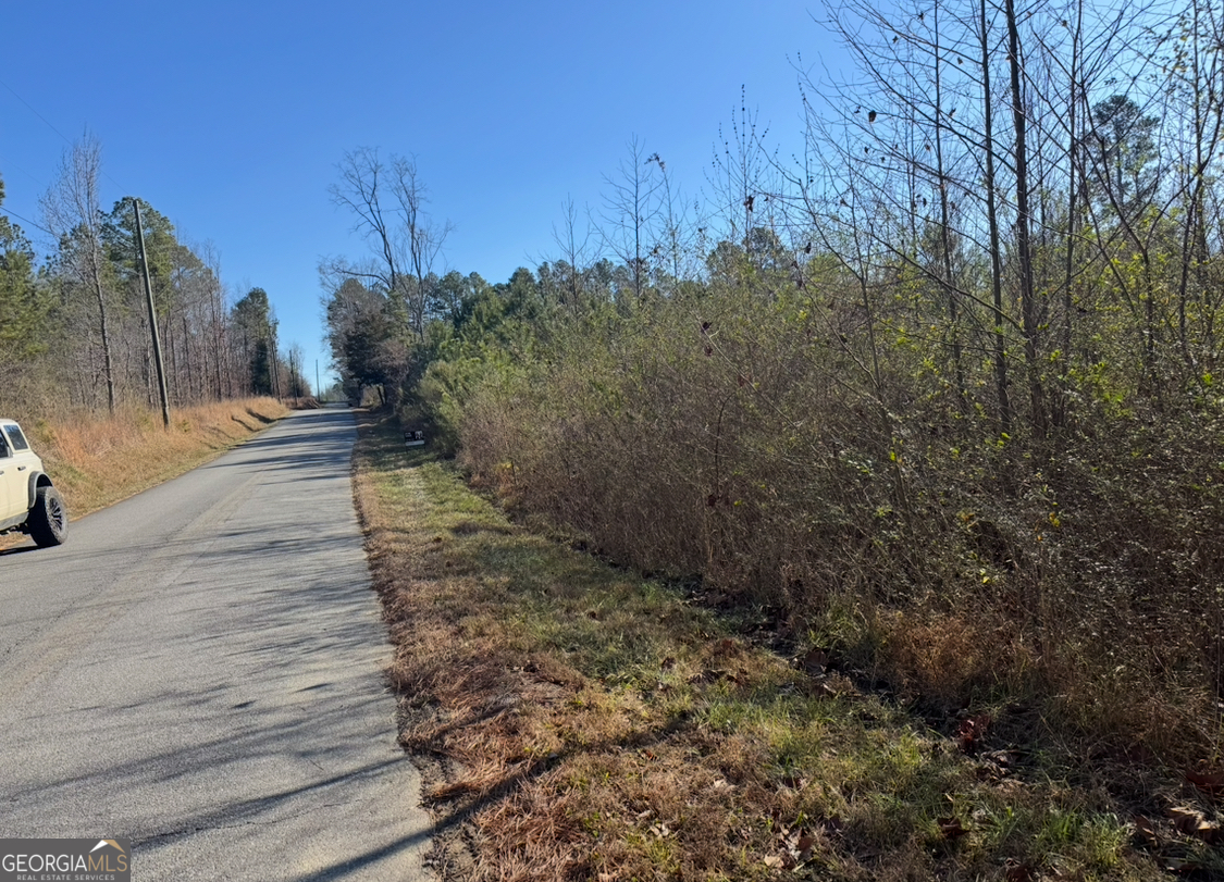 0 Norton Road Kingston, GA 30145 - Photo 6 of 7 a view of a yard