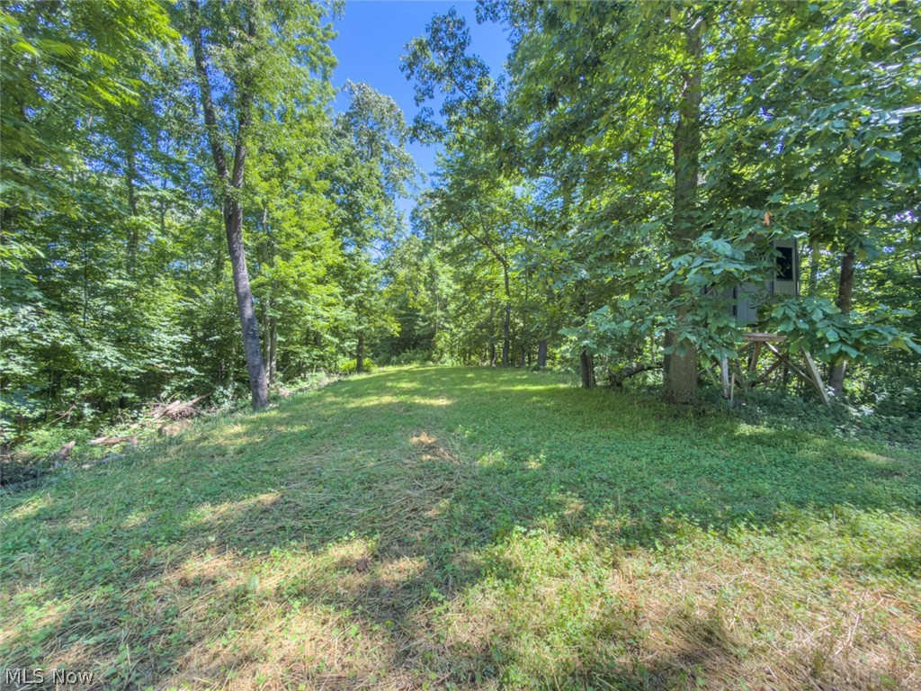 6985 Brush Run Road Cambridge, OH 43725 - Photo 35 of 50